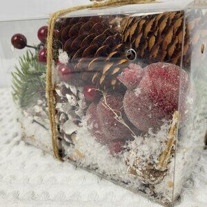 Christmas Box Of Frosted Pine Cones Sugared Berries Pine Sprigs Vase Filler New